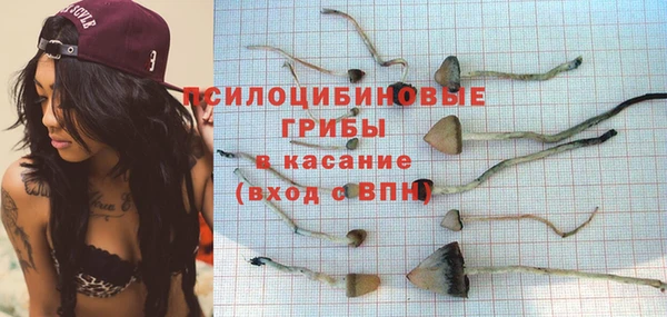 дмт Алексеевка