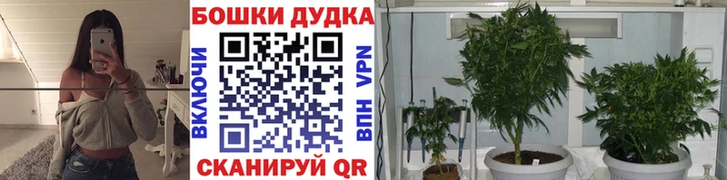 Каннабис White Widow  купить закладку  Арамиль 